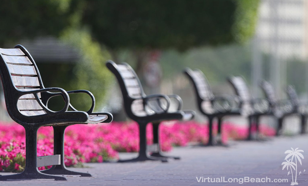 Long Beach Parks long beach parks